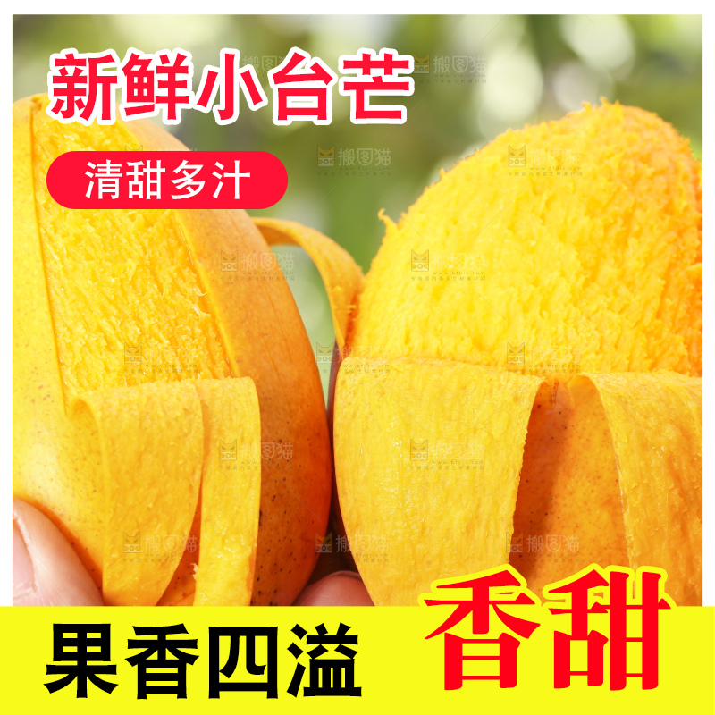 手拿剥皮的海南小台农芒果