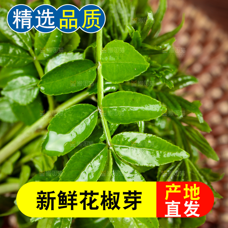 木底上的花椒芽