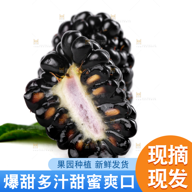 白底上切开的黑树莓