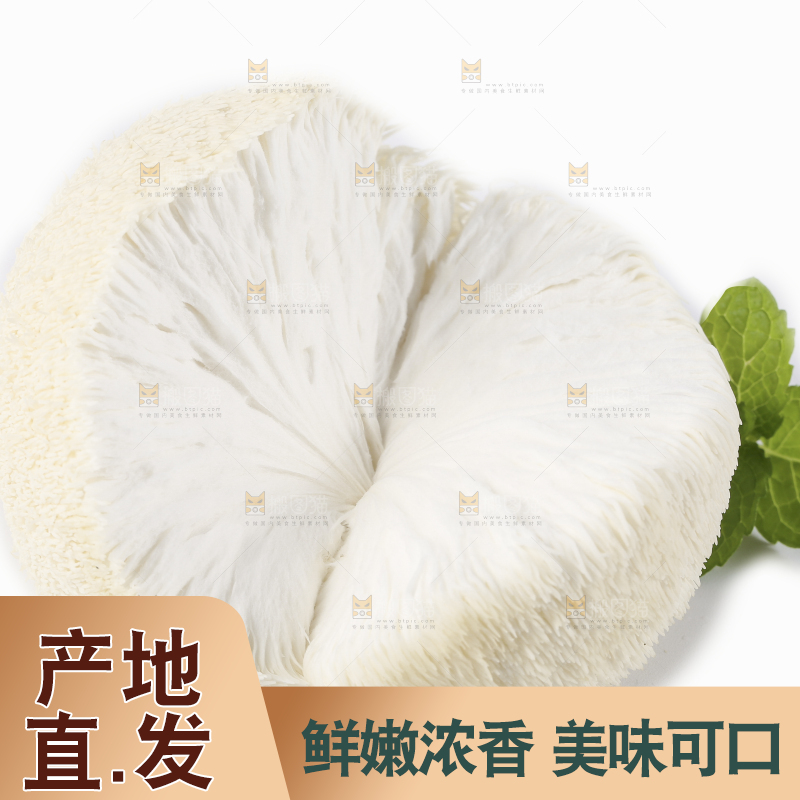 白底上放着东北山猴头菇