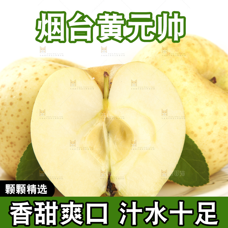 一盘山东黄金帅苹果放在白底上
