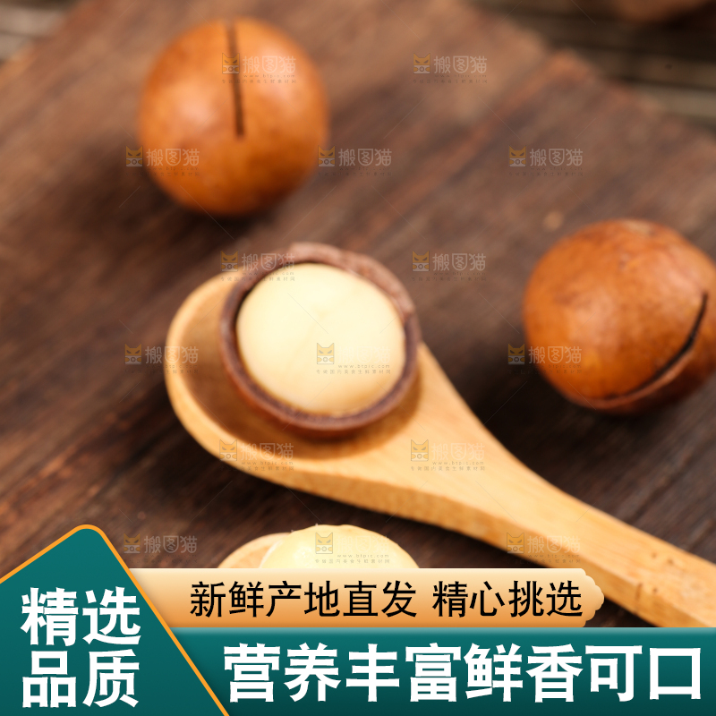 勺子里的夏威夷果果仁