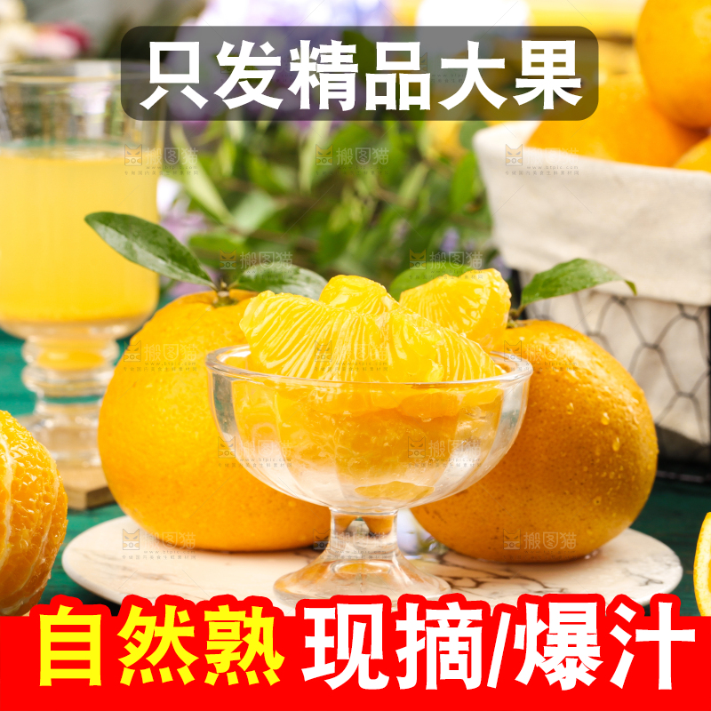 蓝底上的常山胡柚