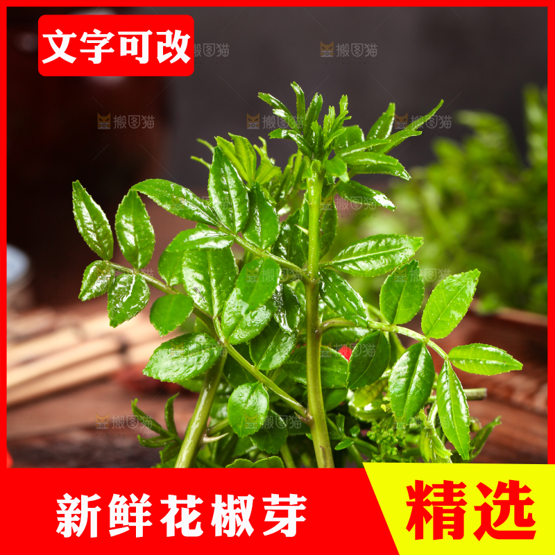 木底上放着麻香花椒芽