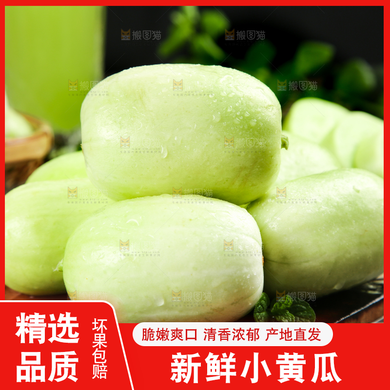 木底上的玉女小黄瓜