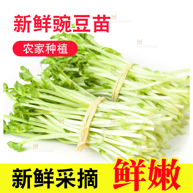 白底上放着豌豆芽菜