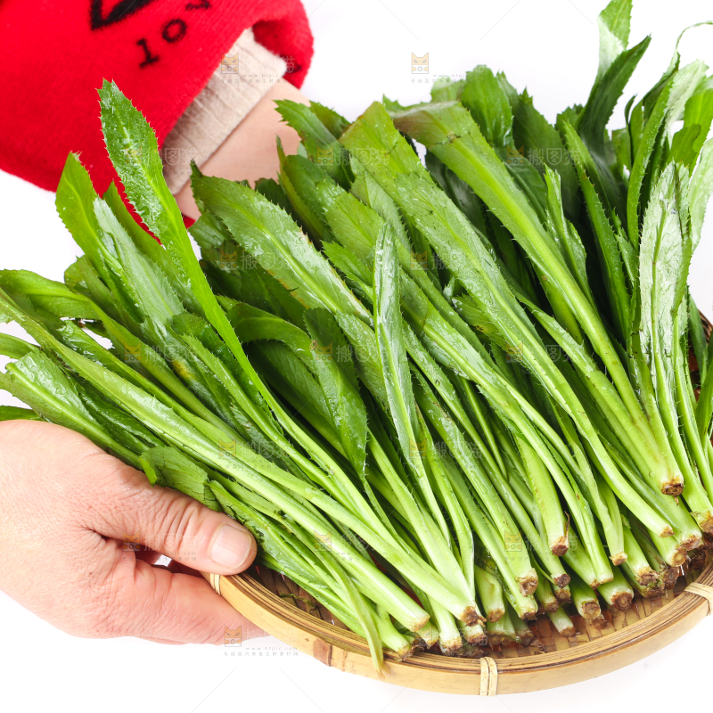 手拿一盘云南大香菜