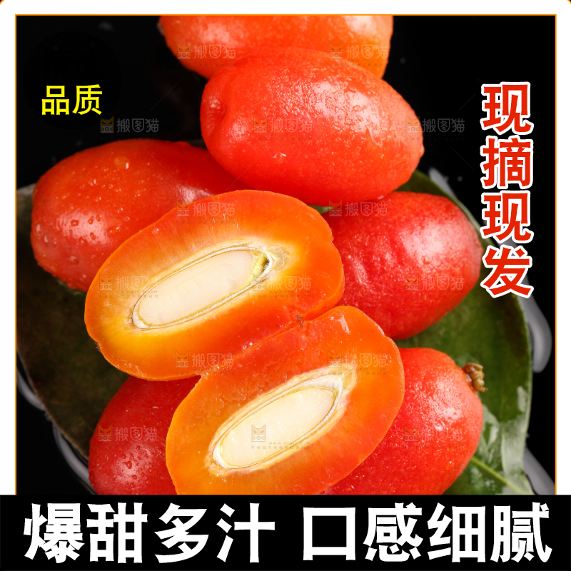 树叶上的云南羊奶果