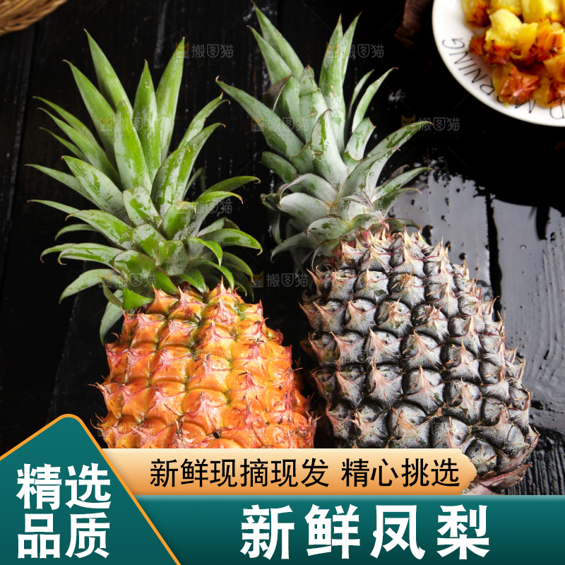石板上放着海南凤梨