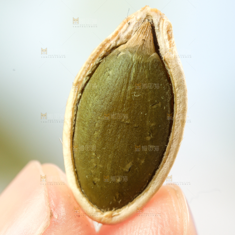 手拿剥皮的南瓜子