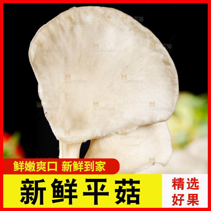 手拿新鲜平菇