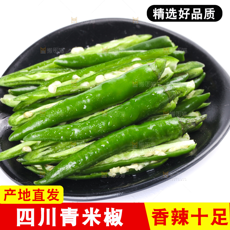 白底上放着一盘青辣椒丝
