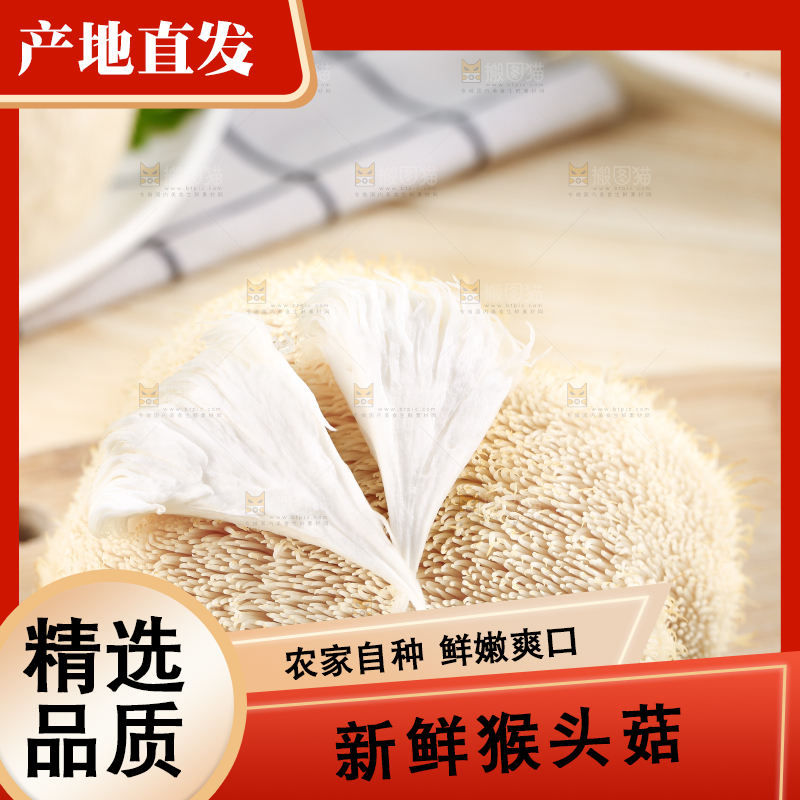 木板上放着长白山猴头菇