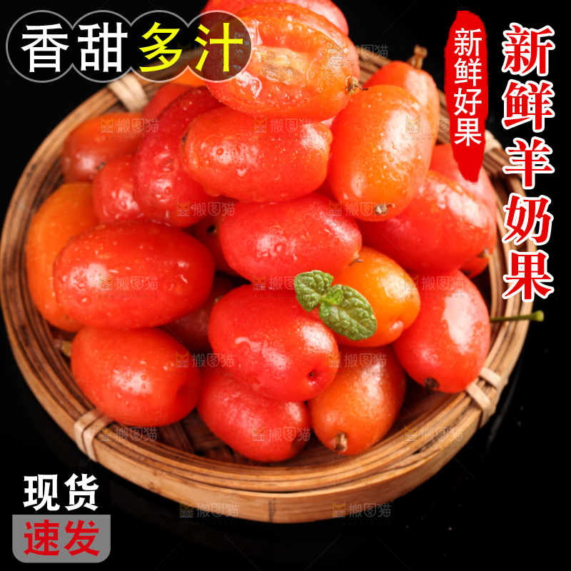 一筐酸甜羊奶果放在黑底上