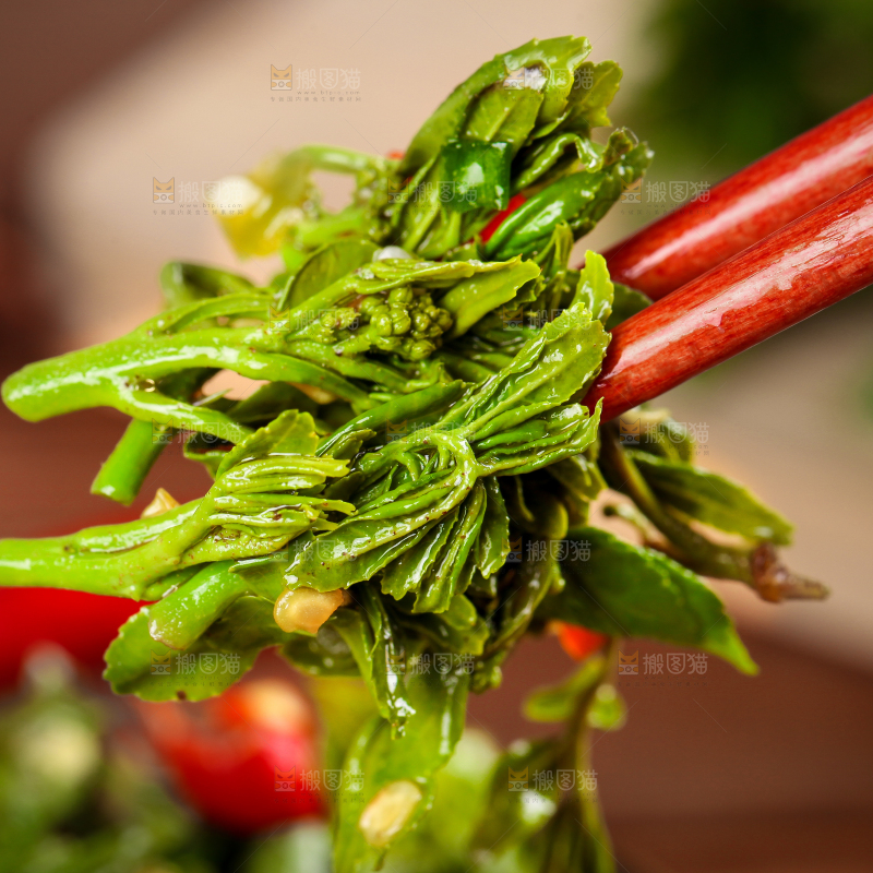 筷子夹着凉拌花椒芽