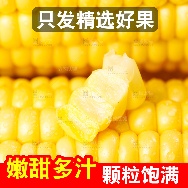 浅底上的黄玉米