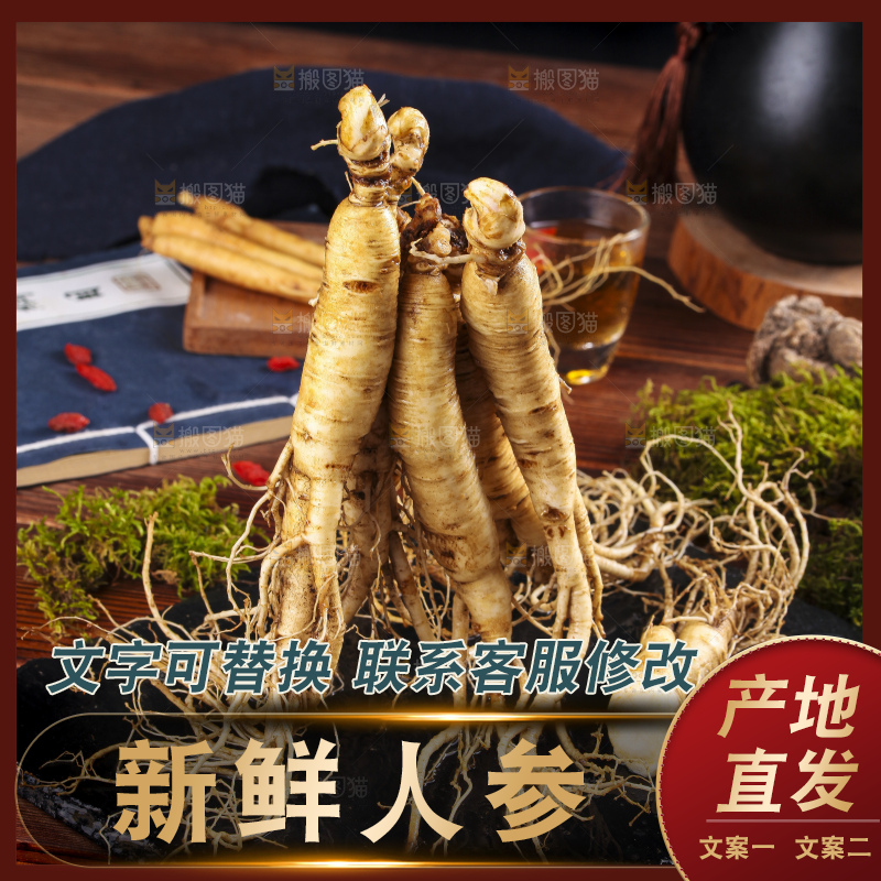 黑石板上的东北人参