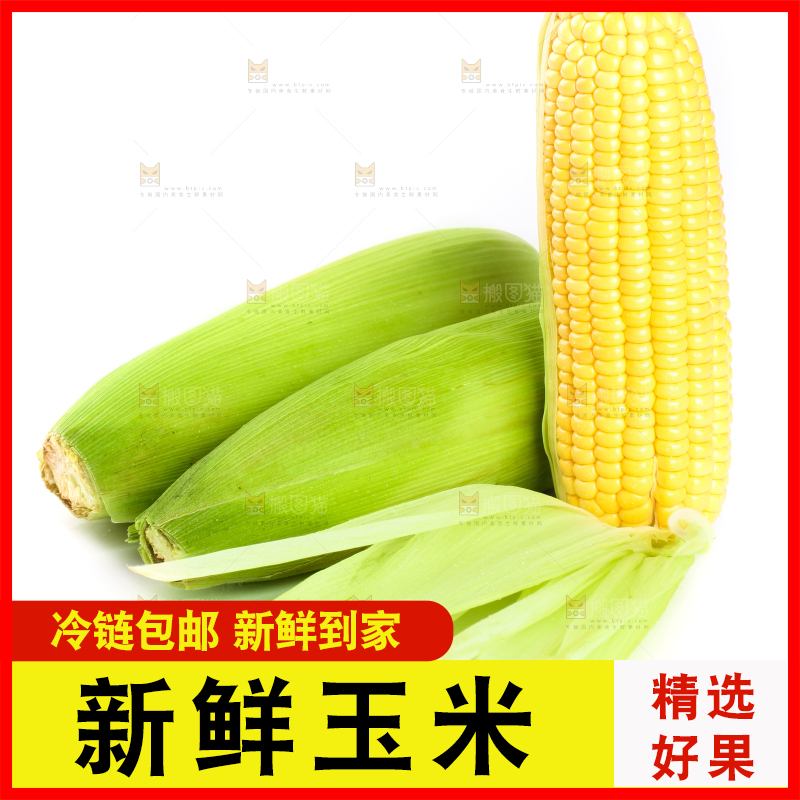 白底上放着黄玉米