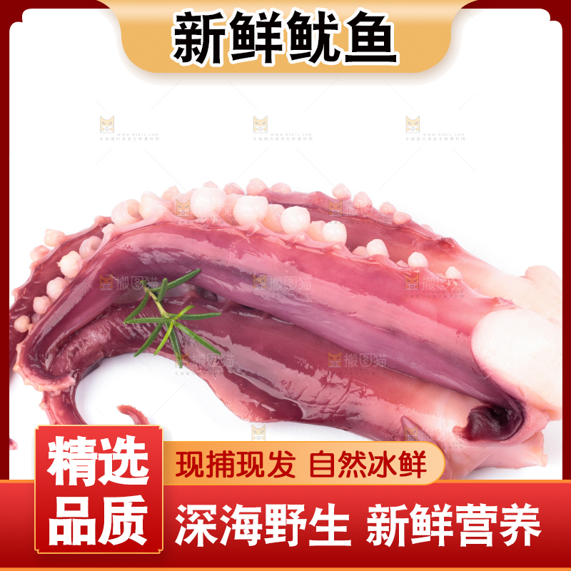 白底上的大鱿鱼