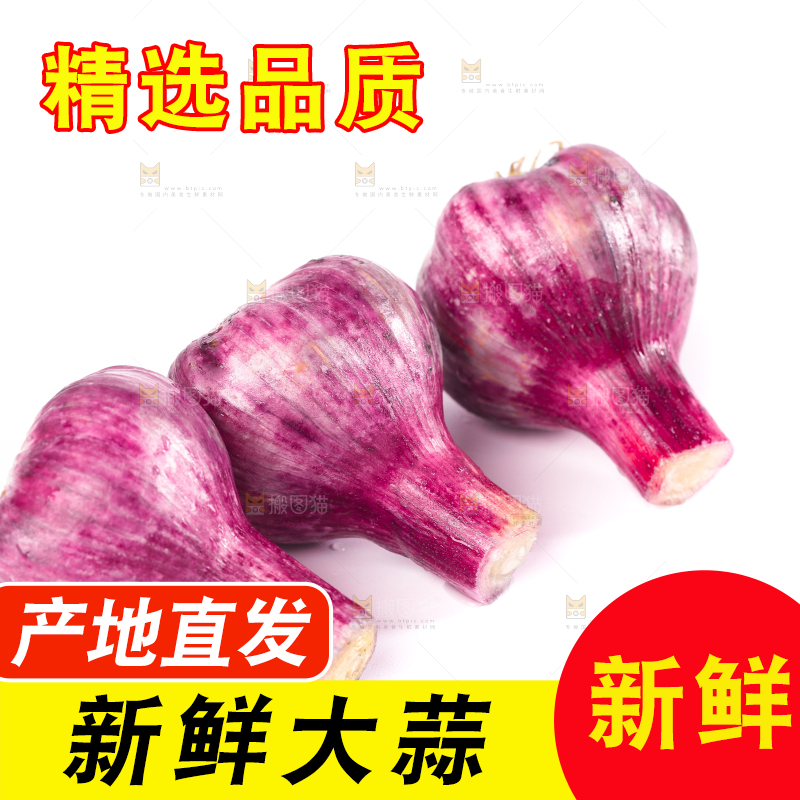 白底上放着紫皮大蒜