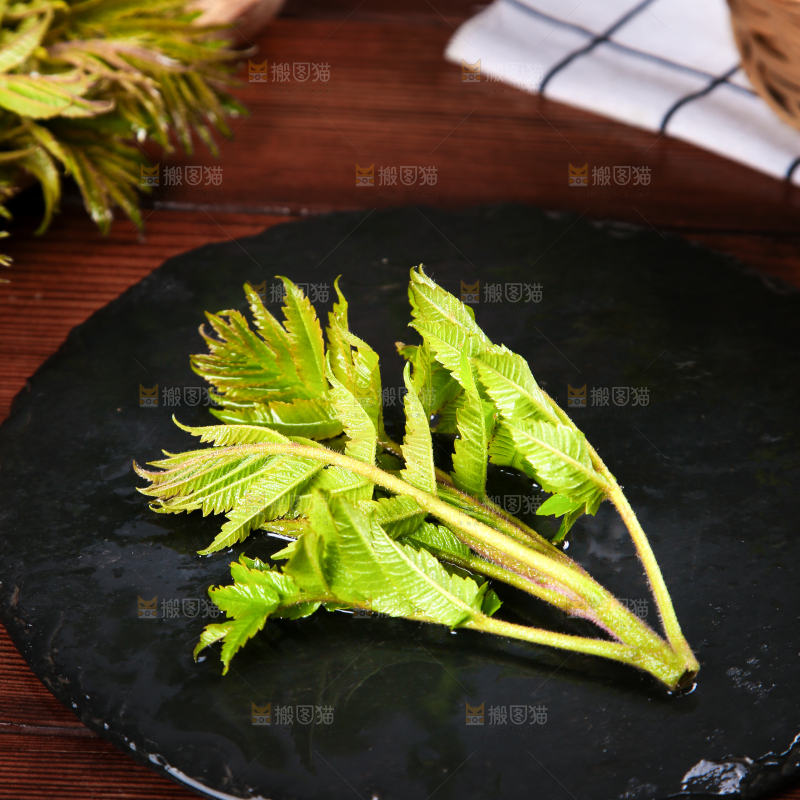 黑石板上的山东香椿芽