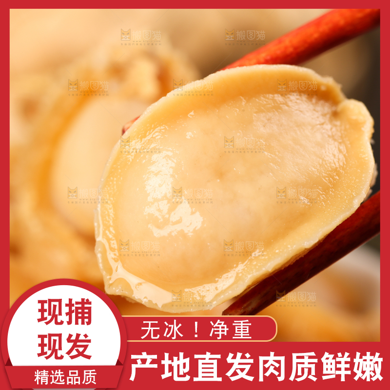 筷子夹着干鲍鱼