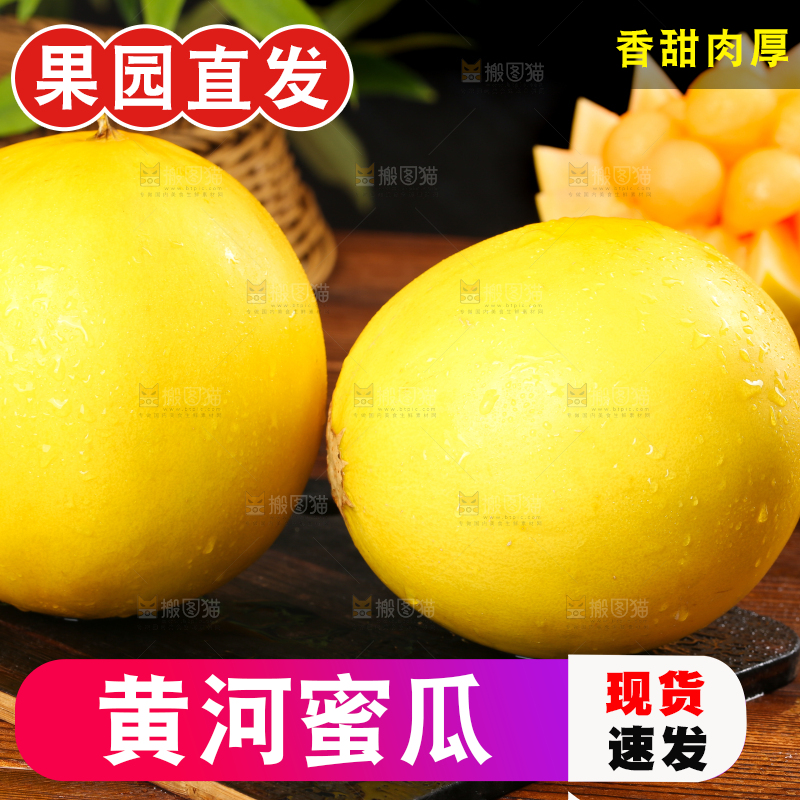深底的黄河蜜瓜