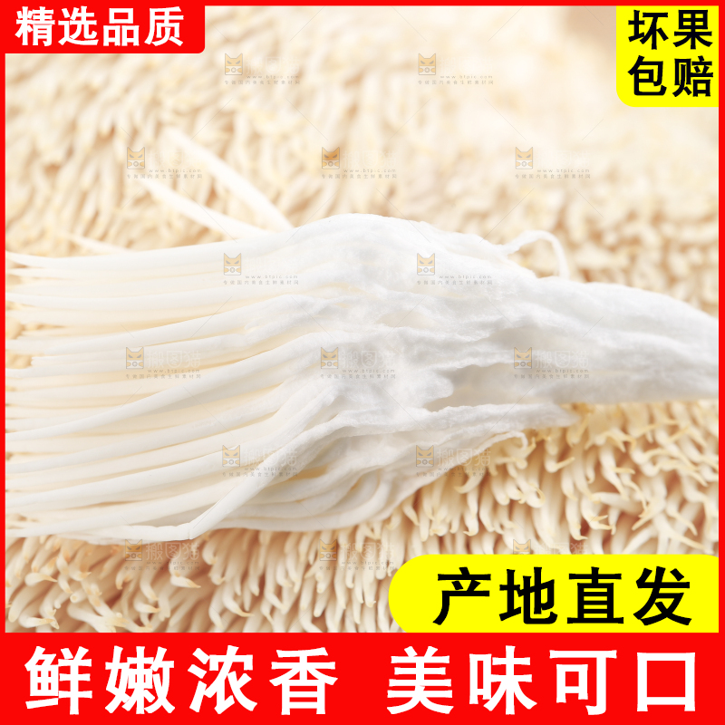 手里拿着新鲜猴头菇