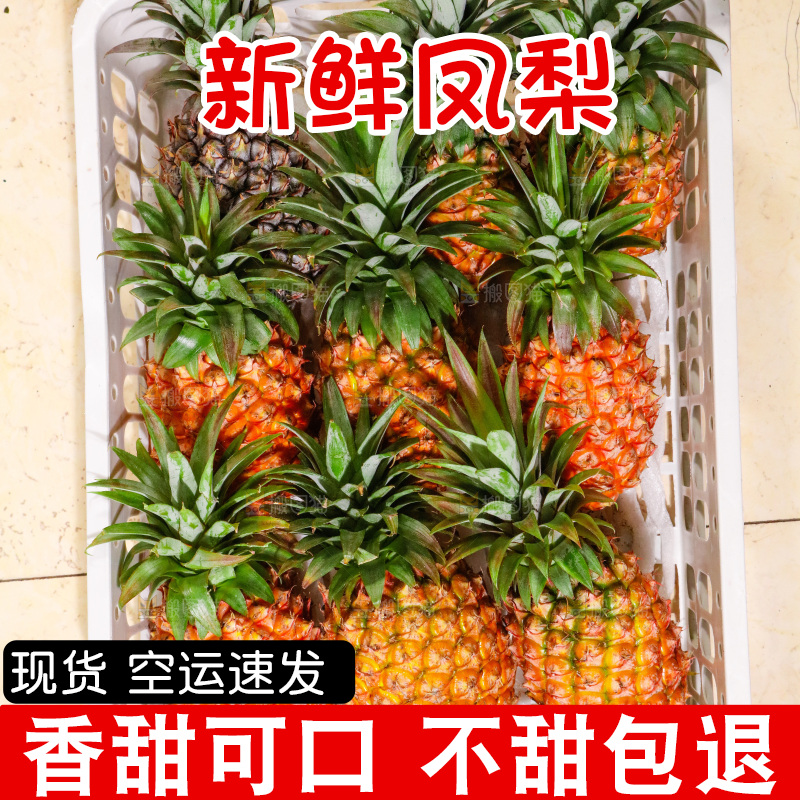 框子里装着金钻凤梨
