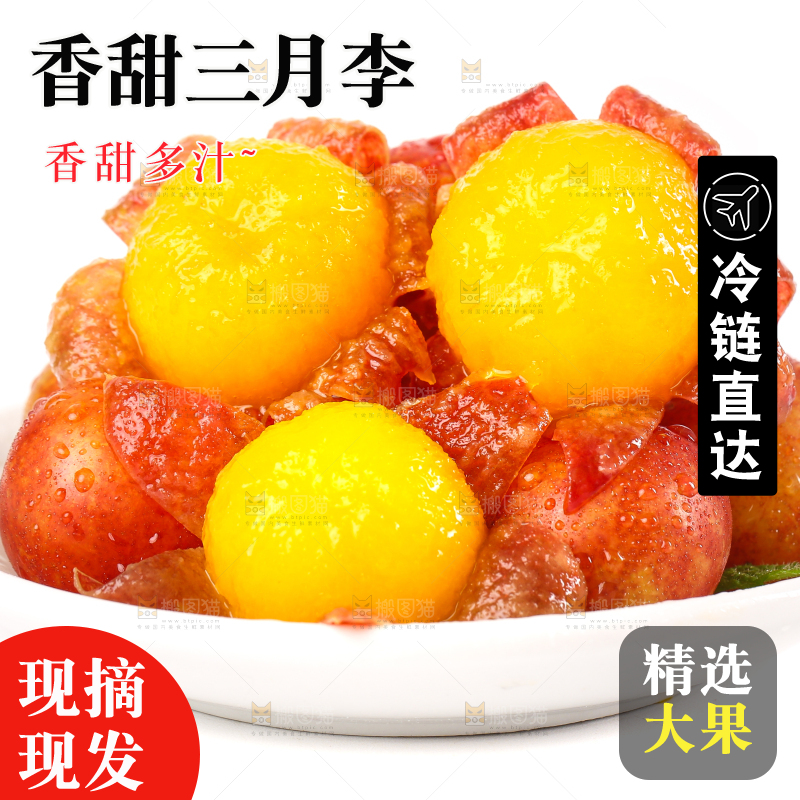 盘子里装着钱排三月李