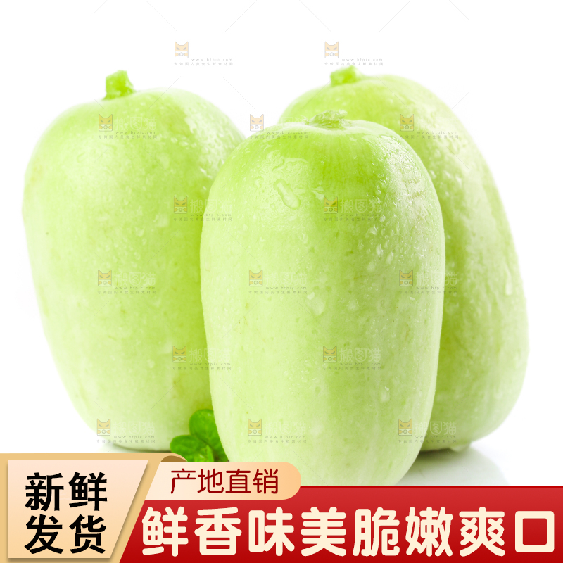 白底上的拇指小黄瓜