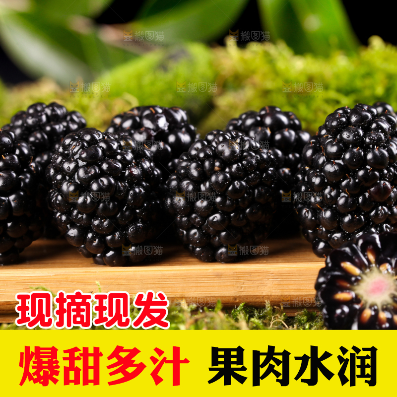 草地上的黑树莓