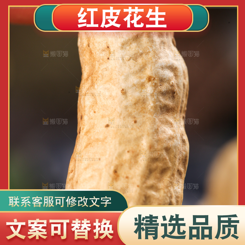 手拿新鲜红皮花生