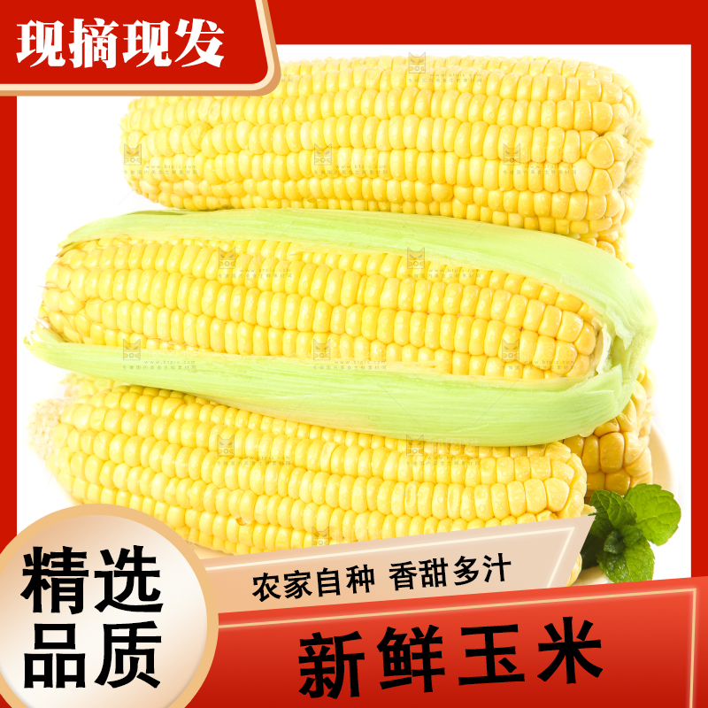 白底上放着一盘黄玉米
