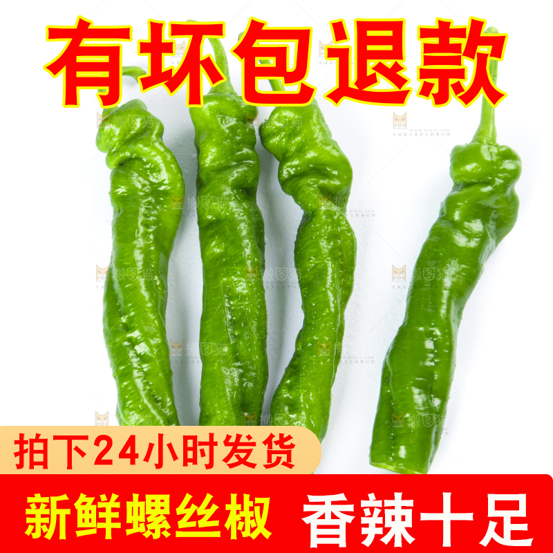 白底上摆放着青螺丝椒