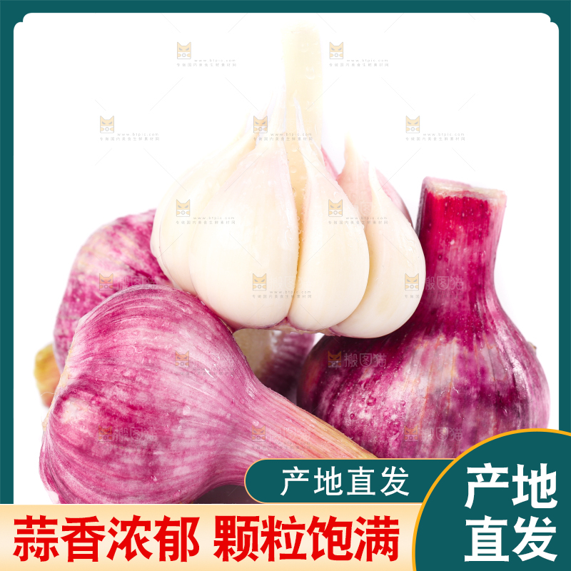 白底上放着紫皮大蒜