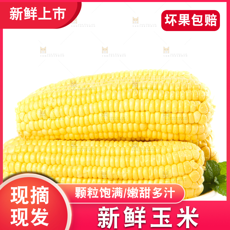白底上放着一盘黄玉米