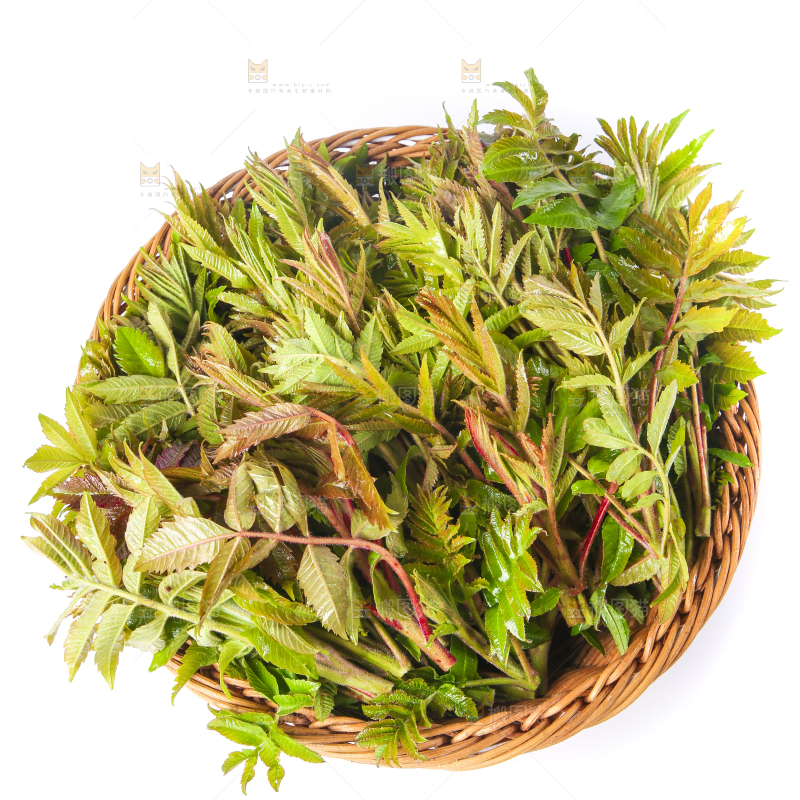 浅底上放着沂蒙山香椿芽