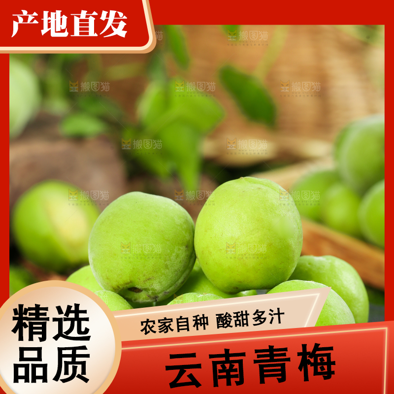 黑石板上放着野生青梅果