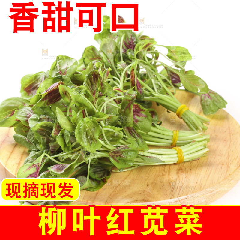 木底上的红苋菜