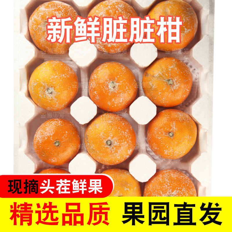 一盒茂谷柑放在白底上