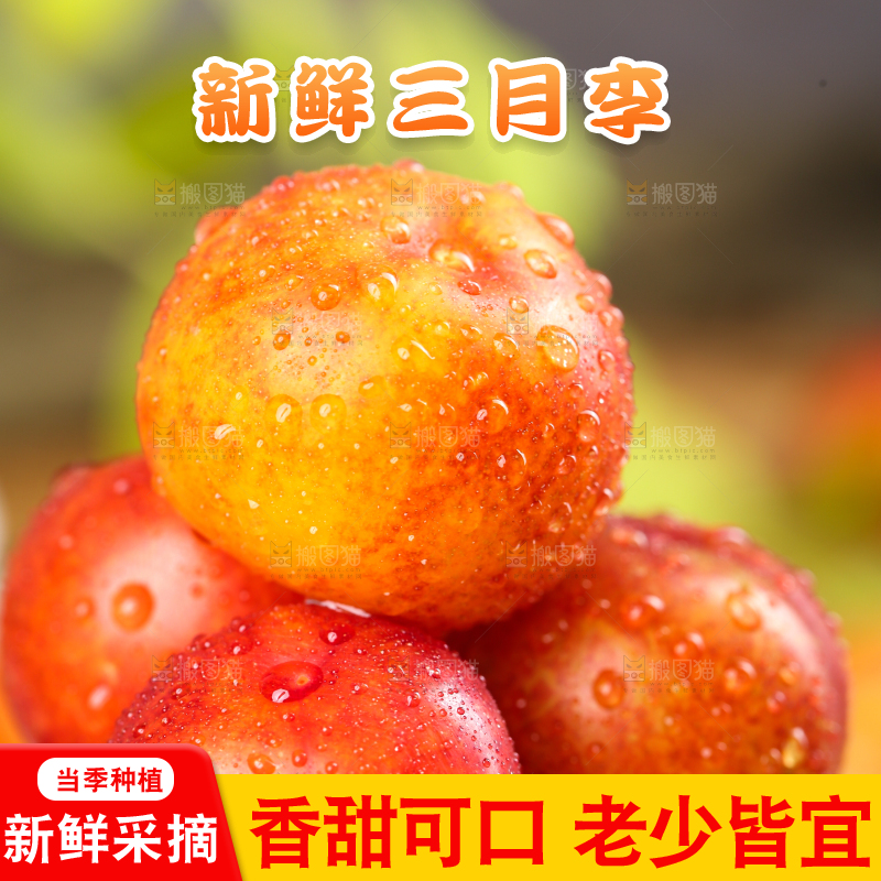 手里拿着新鲜李子