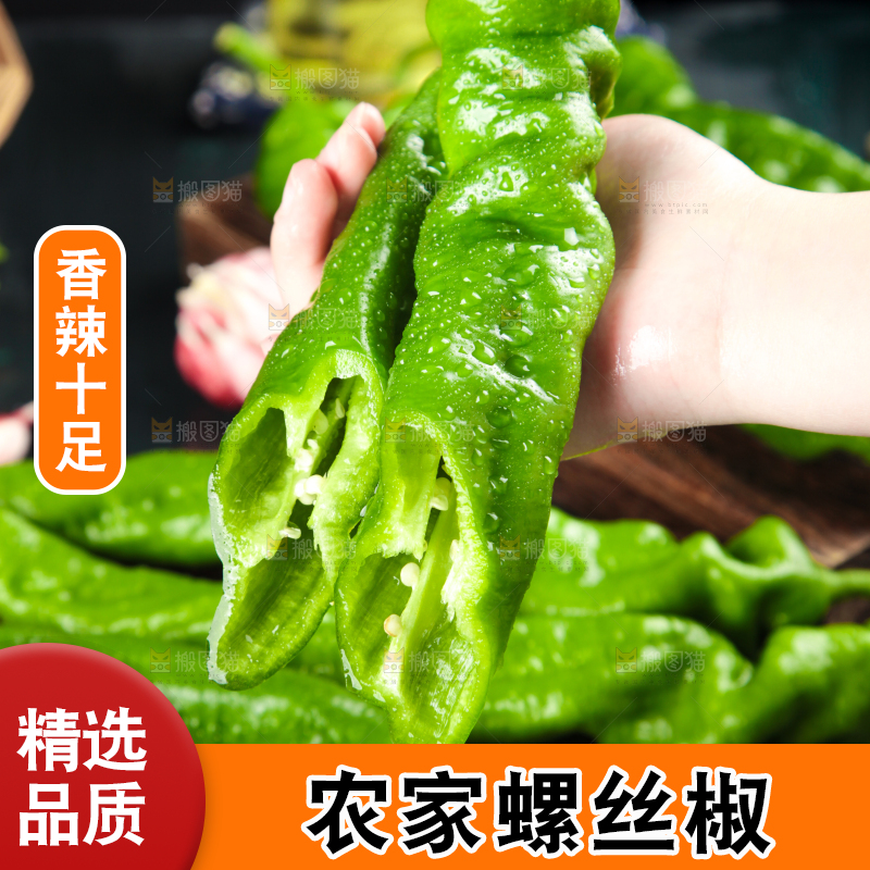 手里拿着新鲜螺丝椒