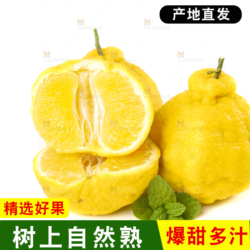 白底上放着四川柠檬不知火