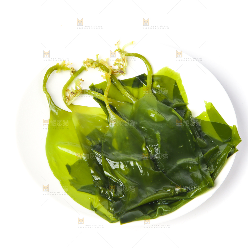 白底上放着海带苗