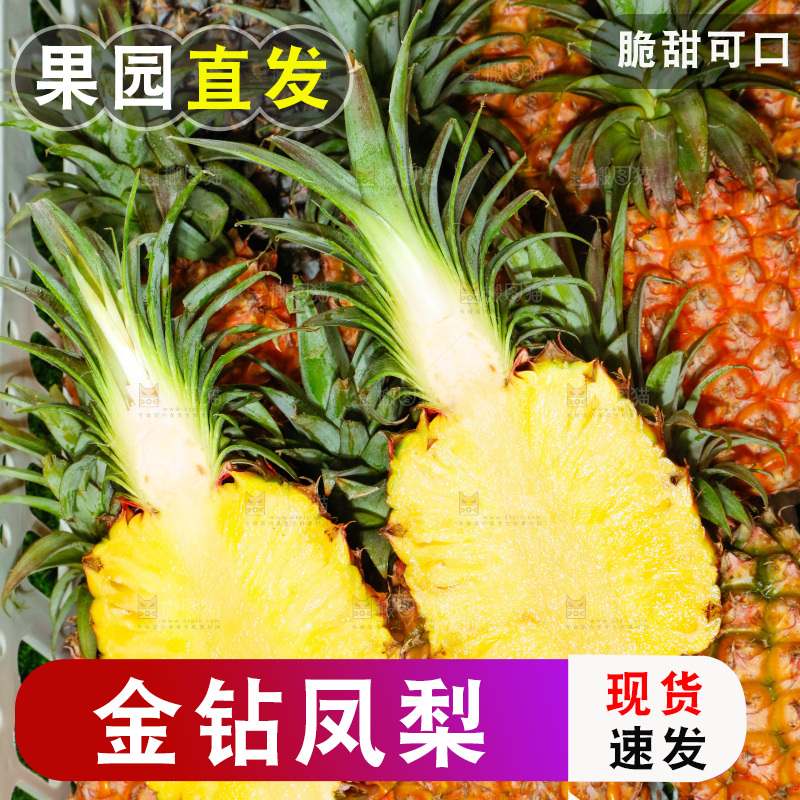 框子里装着金钻凤梨
