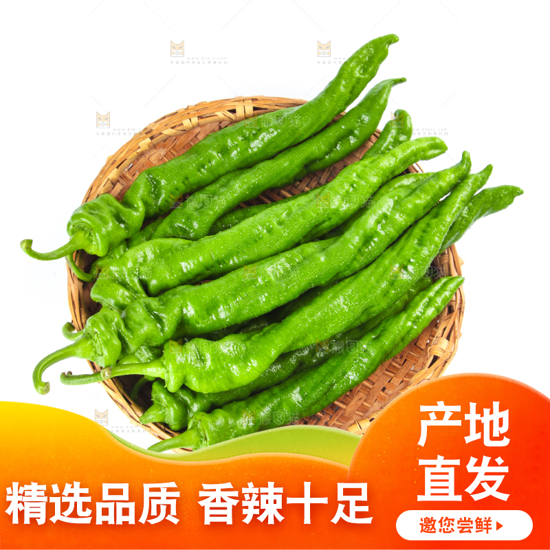 篮子里装着陕西螺丝椒