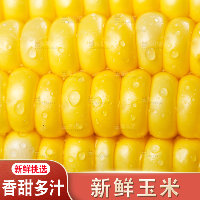浅底上的黄玉米