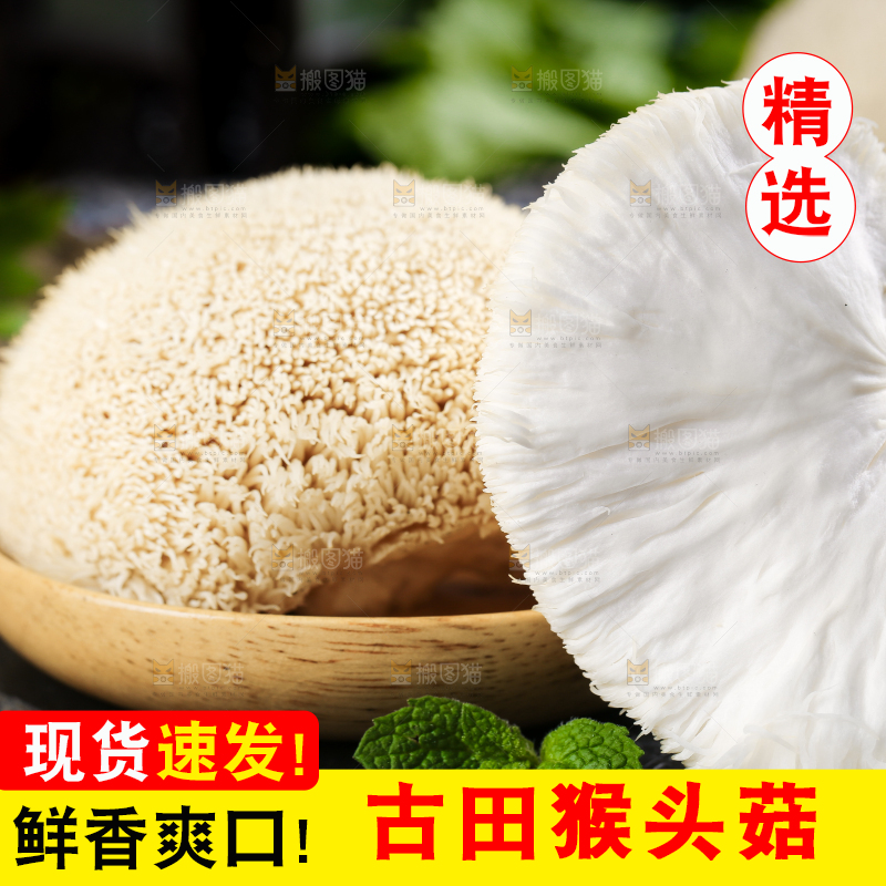 黑底上的猴头菇