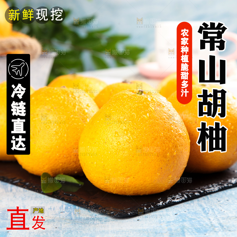 黑石板上的常山胡柚